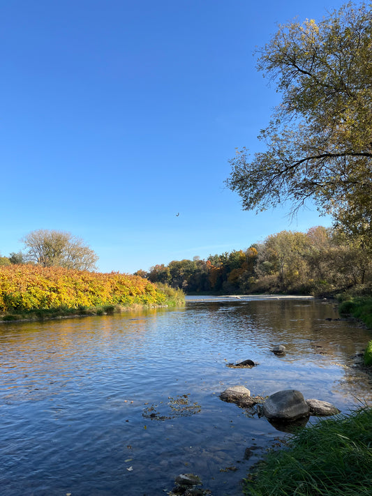 A Day in Paris, Ontario: Shopping, Culture, and Cozy Finds at Kettering